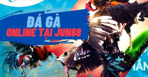 Jun88 – Đăng nhập, Giới thiệu & Đá gà trực tuyến