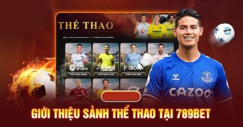 Thể thao 789BET – Sảnh game cá cược trong mơ của các dân chơi